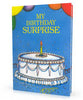 My Birthday Surprise Personalized Book, A Personalized Storybook For Kids - Connie's Personalized Music, Books & More